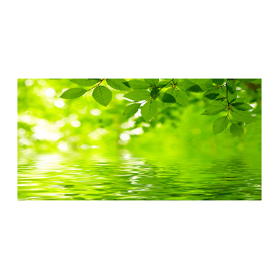 Cuadro decorativo de vidrio para salón horizontal hojas verdes