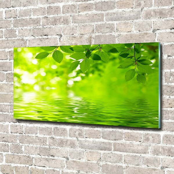 Cuadro decorativo de vidrio para salón horizontal hojas verdes