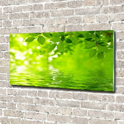 Cuadro decorativo de vidrio para salón horizontal hojas verdes