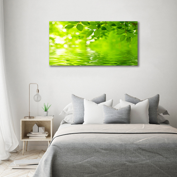 Cuadro decorativo de vidrio para salón horizontal hojas verdes