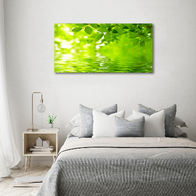 Cuadro decorativo de vidrio para salón horizontal hojas verdes