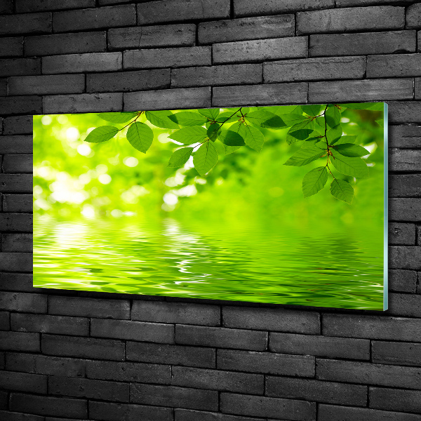 Cuadro decorativo de vidrio para salón horizontal hojas verdes