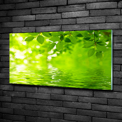 Cuadro decorativo de vidrio para salón horizontal hojas verdes