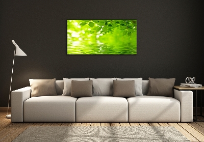 Cuadro decorativo de vidrio para salón horizontal hojas verdes