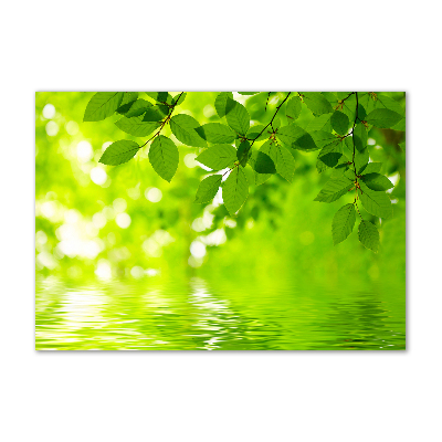 Cuadro decorativo de vidrio para salón horizontal hojas verdes