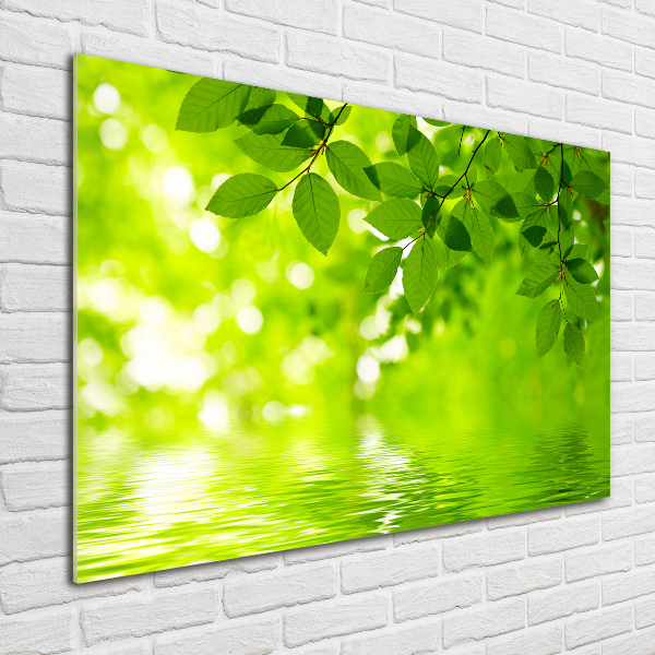 Cuadro decorativo de vidrio para salón horizontal hojas verdes
