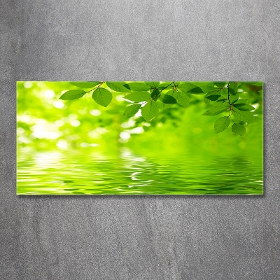 Cuadro decorativo de vidrio para salón horizontal hojas verdes