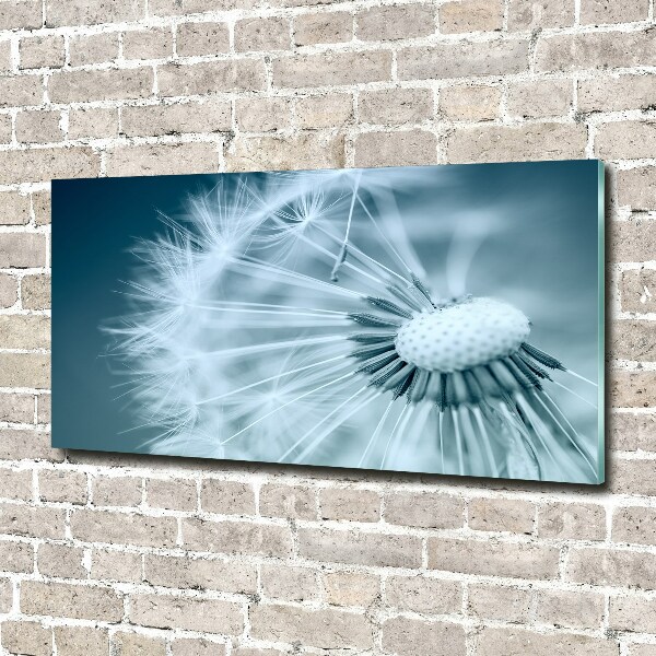 Foto en cristal de alta calidad con impresión uv horizontal Diente de león