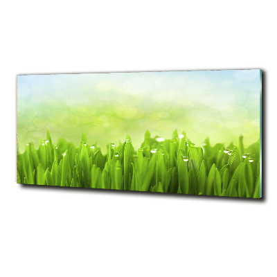 Cuadro de cristal templado moderno horizontal Césped