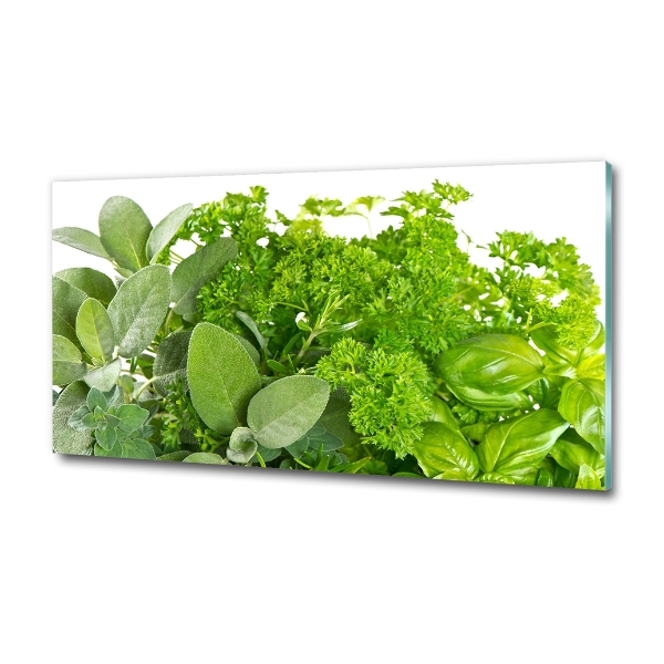 Cuadro de cristal templado moderno horizontal Hierbas