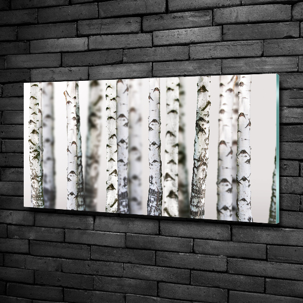 Impresión en cristal con acabado brillante horizontal troncos de abedul