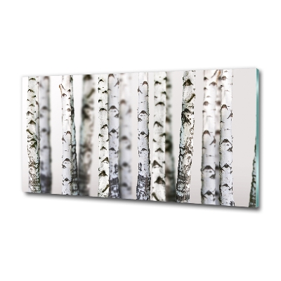 Foto obraz szkło hartowane Pnie brzozy