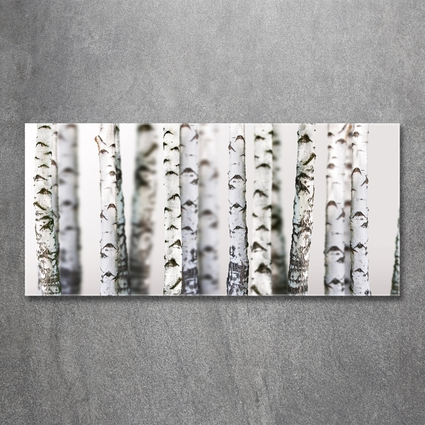 Impresión en cristal con acabado brillante horizontal troncos de abedul
