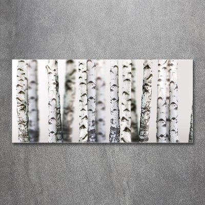 Impresión en cristal con acabado brillante horizontal troncos de abedul