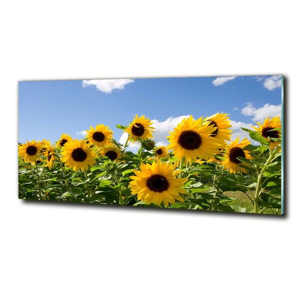 Cuadro decorativo de vidrio para salón horizontal Girasoles