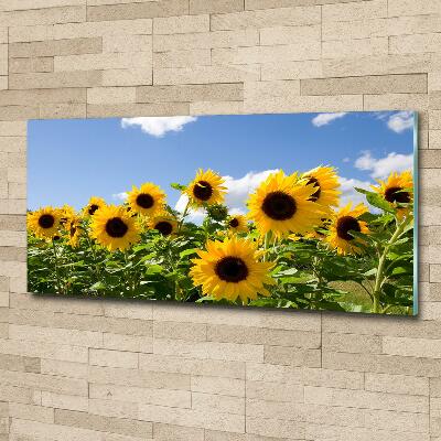 Cuadro decorativo de vidrio para salón horizontal Girasoles