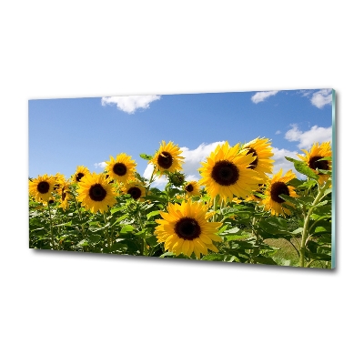 Cuadro decorativo de vidrio para salón horizontal Girasoles