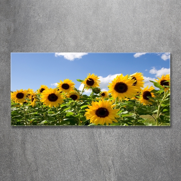 Cuadro decorativo de vidrio para salón horizontal Girasoles