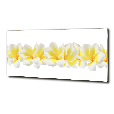 Foto obraz szkło hartowane Plumeria