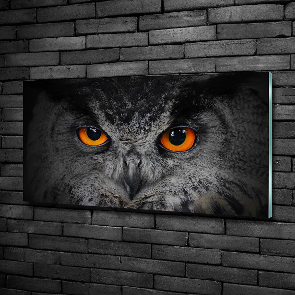 Cuadro decorativo de vidrio para salón horizontal Ojos de búho diabólicos