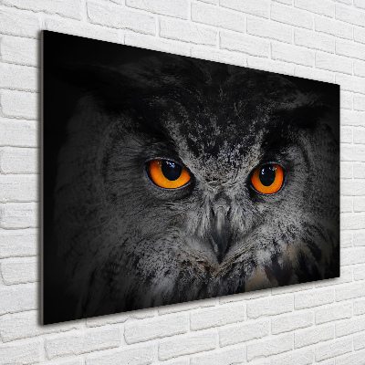 Cuadro decorativo de vidrio para salón horizontal Ojos de búho diabólicos