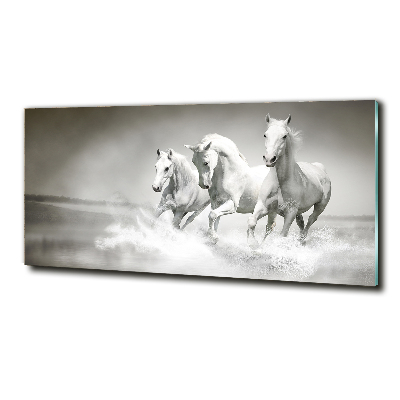 Cuadro de cristal templado moderno horizontal Caballos blancos