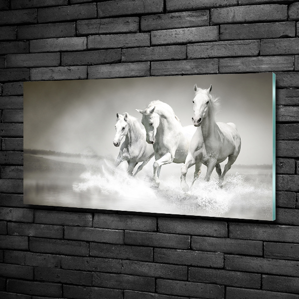 Cuadro de cristal templado moderno horizontal Caballos blancos