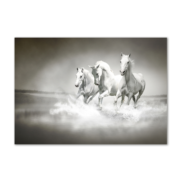 Cuadro de cristal templado moderno horizontal Caballos blancos