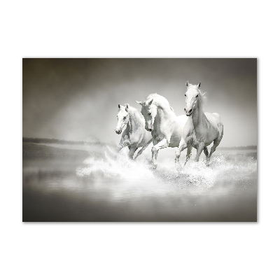 Cuadro de cristal templado moderno horizontal Caballos blancos