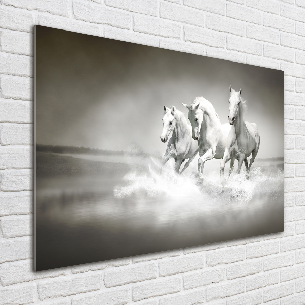 Cuadro de cristal templado moderno horizontal Caballos blancos