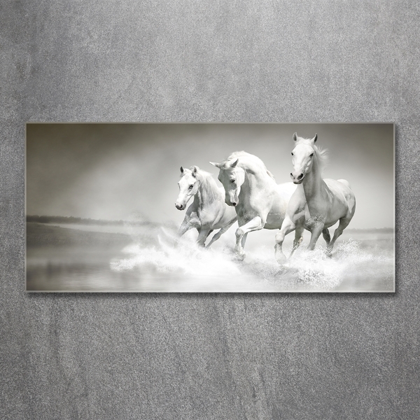 Cuadro de cristal templado moderno horizontal Caballos blancos