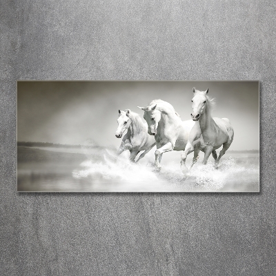 Cuadro de cristal templado moderno horizontal Caballos blancos