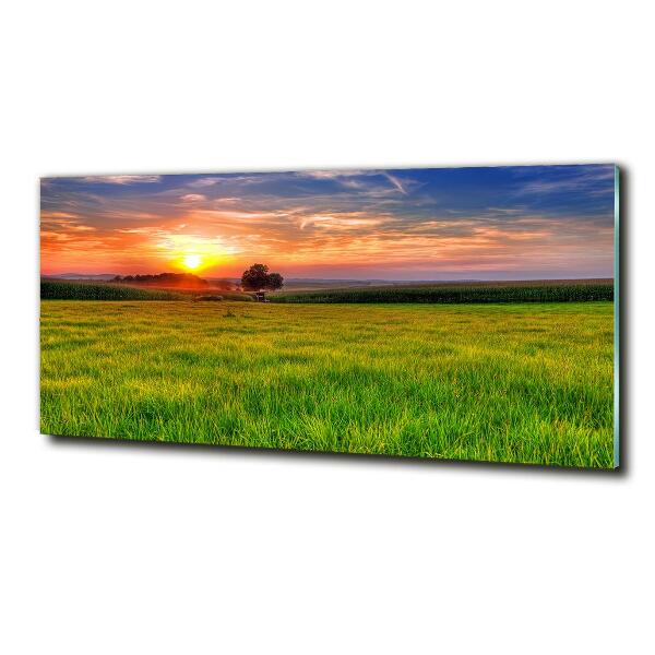 Cuadro decorativo de vidrio para salón horizontal Pradera al atardecer