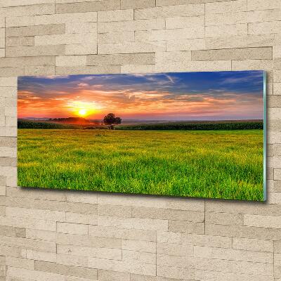 Cuadro decorativo de vidrio para salón horizontal Pradera al atardecer