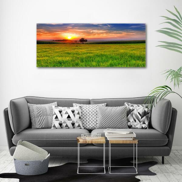 Cuadro decorativo de vidrio para salón horizontal Pradera al atardecer