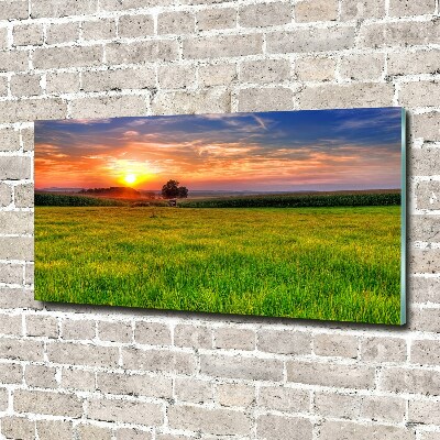 Cuadro decorativo de vidrio para salón horizontal Pradera al atardecer