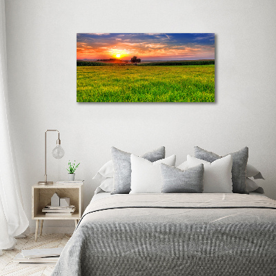 Cuadro decorativo de vidrio para salón horizontal Pradera al atardecer