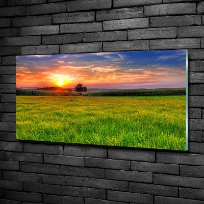 Cuadro decorativo de vidrio para salón horizontal Pradera al atardecer