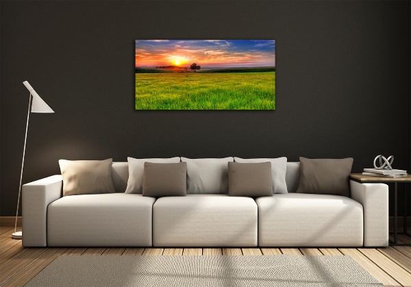 Cuadro decorativo de vidrio para salón horizontal Pradera al atardecer