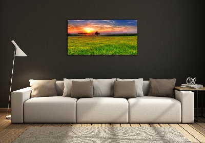 Cuadro decorativo de vidrio para salón horizontal Pradera al atardecer