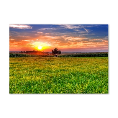 Cuadro decorativo de vidrio para salón horizontal Pradera al atardecer