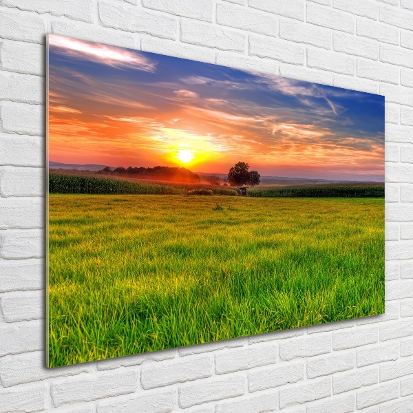 Cuadro decorativo de vidrio para salón horizontal Pradera al atardecer