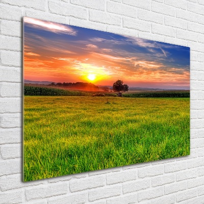 Cuadro decorativo de vidrio para salón horizontal Pradera al atardecer