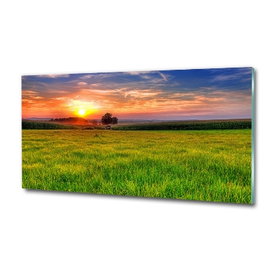 Cuadro decorativo de vidrio para salón horizontal Pradera al atardecer