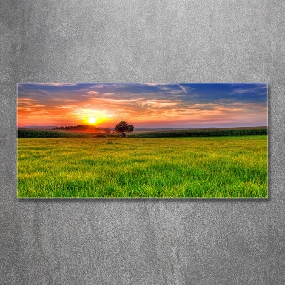 Cuadro decorativo de vidrio para salón horizontal Pradera al atardecer