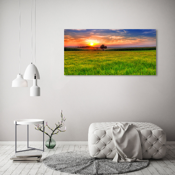 Cuadro decorativo de vidrio para salón horizontal Pradera al atardecer
