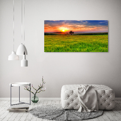 Cuadro decorativo de vidrio para salón horizontal Pradera al atardecer