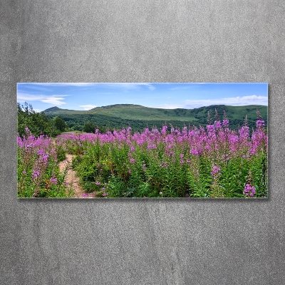 Foto en cristal de alta calidad con impresión uv horizontal Colinas verdes