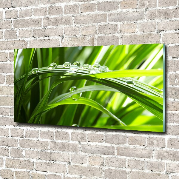 Impresión en cristal con acabado brillante horizontal Gotas sobre la hierba