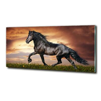 Cuadro decorativo de vidrio para salón horizontal Caballo de trote